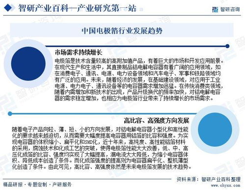 電極箔產業發展歷程、競爭格局與市場前景研究